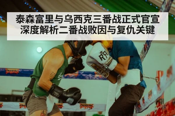 Oleksandr Usyk boxing（AGAPP）
